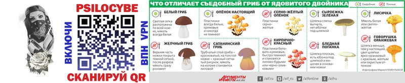 купить наркотики цена  Радужный  Псилоцибиновые грибы Psilocybe 