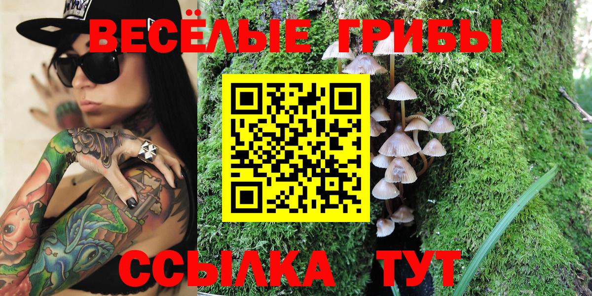 Галлюциногенные грибы Psilocybine cubensis  Вход с VPN  Радужный  Галлюциногенные грибы мухоморы 